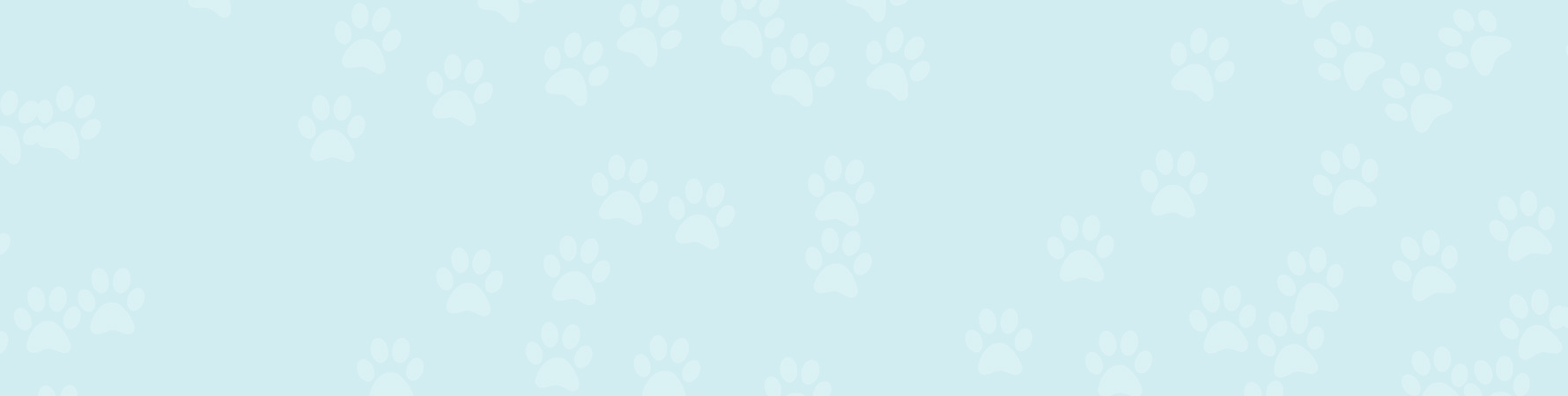 bg-silide-01