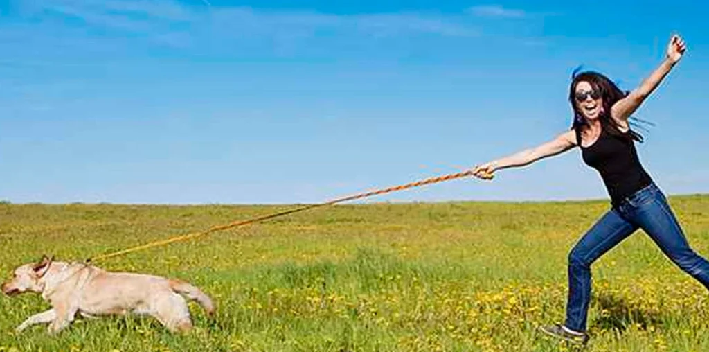 Los 5 errores más comunes que cometemos al pasear con nuestros perros