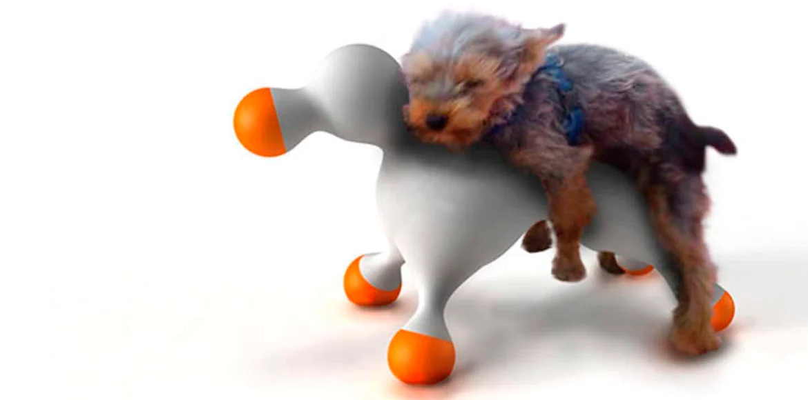 Satiriasis en animales, qué es y como tratarla