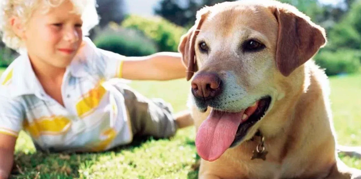 Cómo elegir un animal de compañía para tus hijos