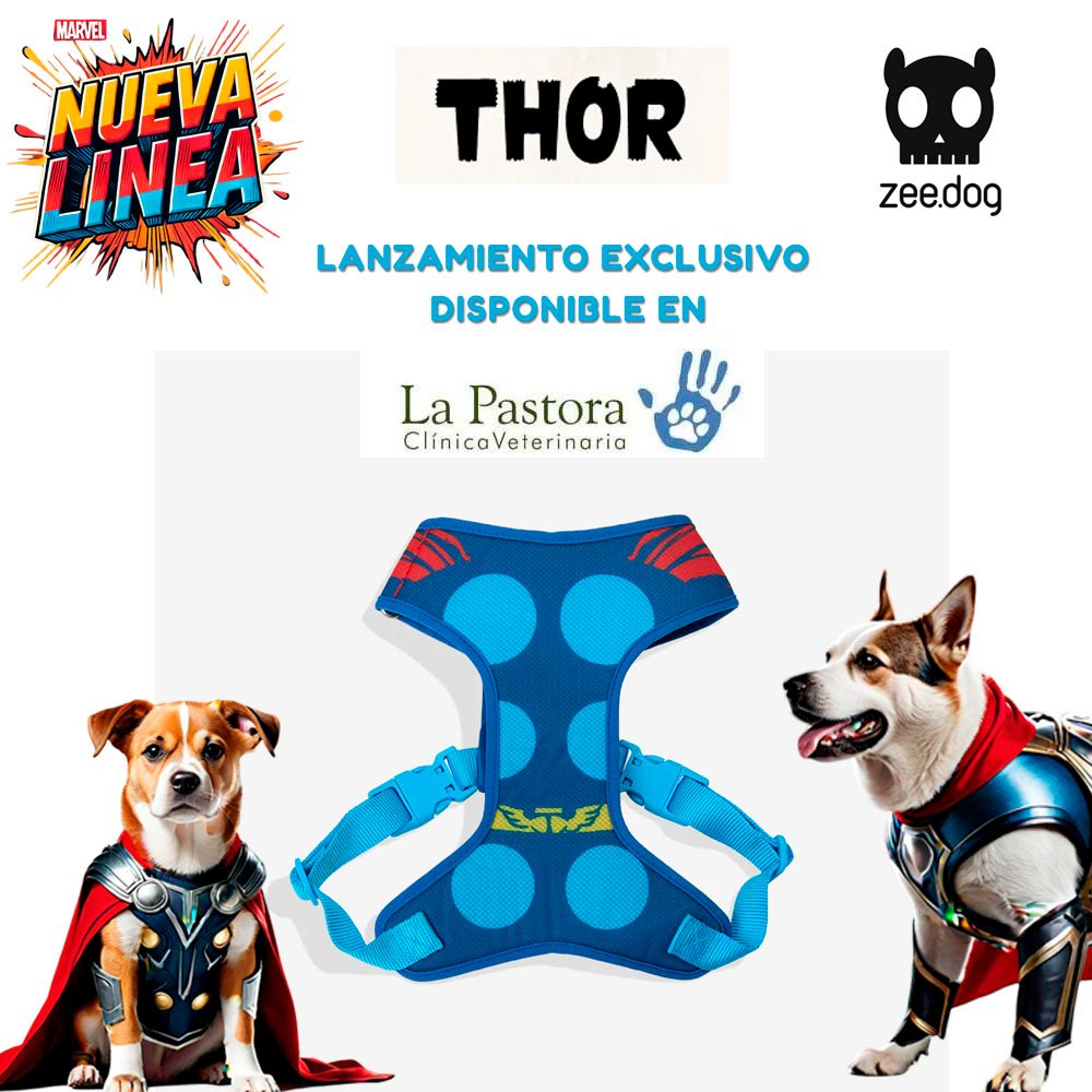 Arnes-Ajustable-XS-S-M-L-Thor-Marvel-ZeeDog.jpg Arnés Ajustable (XS, S, M, L) Thor (Marvel) Zee.Dog - Edición Limitada - Imagen 1
