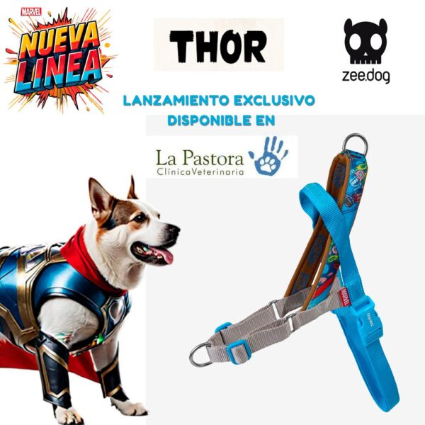 Arnés SofterWalk (S, M, L) Thor (Marvel) Zee.Dog - Edición Limitada