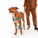 Arnés SofterWalk Wolverine (Marvel) Zee.Dog - Edición Limitada - Imagen 3