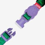 Collar para Perro (S) – Línea Hulk (Marvel) Zee.Dog – Edición Limitada - Imagen 4