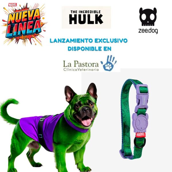 Collar para Perro (S) – Línea Hulk (Marvel) Zee.Dog – Edición Limitada