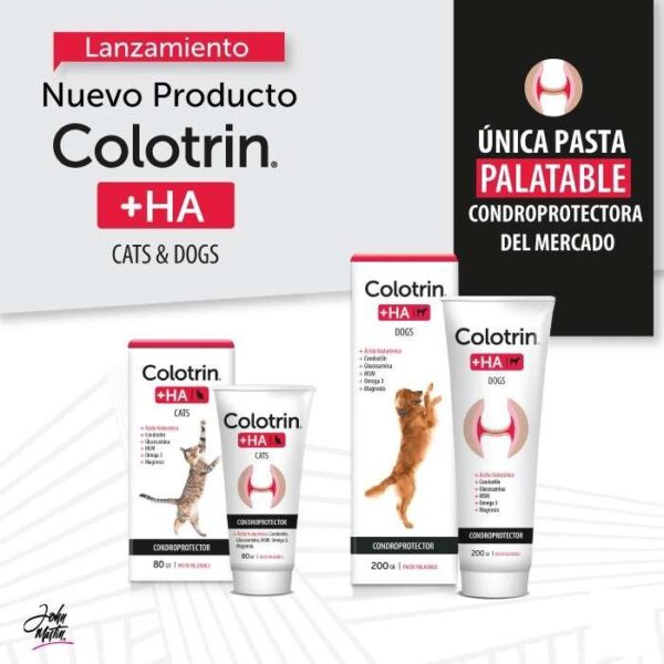 Colotrin + HA – Pasta Regeneradora Osteoarticular para Perros y Gatos
