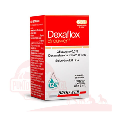 Dexaflox – Colirio antibiótico y antiinflamatorio para perros, gatos y equinos
