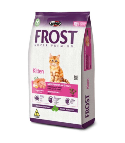 Frost Kitten Gatos Cachorros