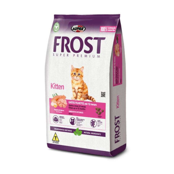 Frost Kitten Gatos Cachorros