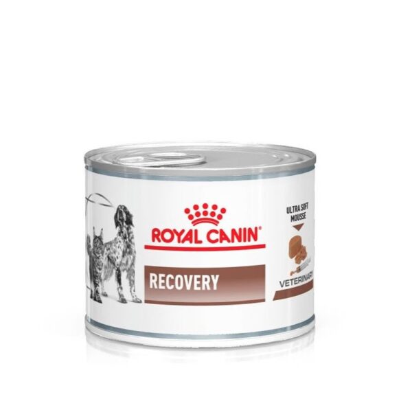 Royal Canin Recovery FEL/CAN (LATA) 195 gr