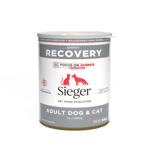 Sieger Recovery Dog and Cat