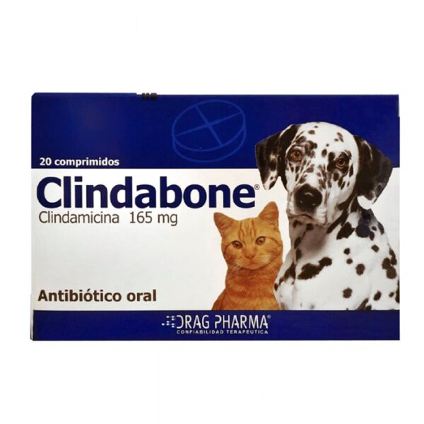 Clindabone - Perros y Gatos