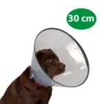 Collar Isabelino - Perros y Gatos - Imagen 6