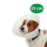 Collar Isabelino - Perros y Gatos - Imagen 7