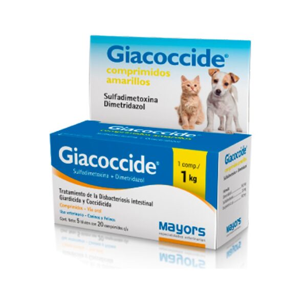 Giacoccide Amarillo – Perros y Gatos