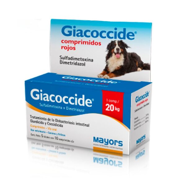 Giacoccide Rojo – Perros