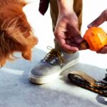 Juguete para perro Zeedog Fruitz Naranja - Imagen 2