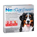 Pastillas Antipulgas Nexgard - Imagen 5