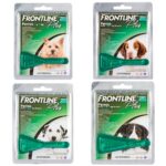 Pipeta Antipulgas Frontline Plus - Perros