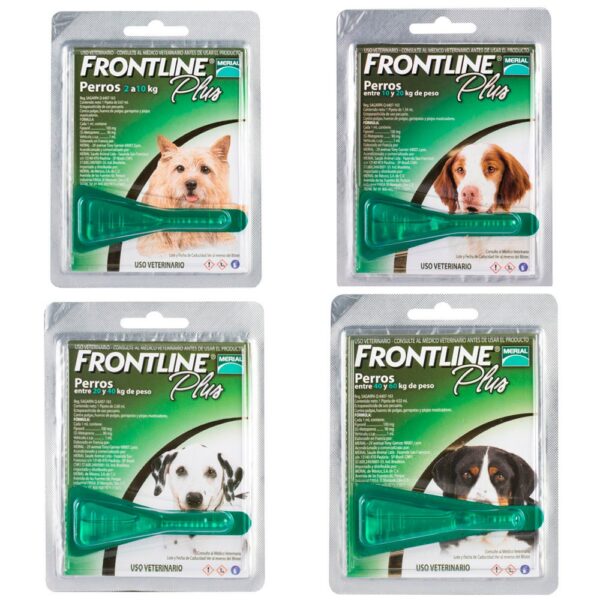 Pipeta Antipulgas Frontline Plus - Perros