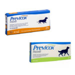 Previcox antiinflamatorio no esteroide para perros
