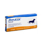 Previcox antiinflamatorio no esteroide para perros